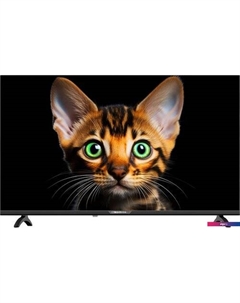 Телевизор Topdevice 42" Frameless BS04 (черный)