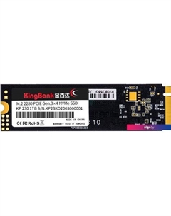 SSD KP230 256GB K5.02.FPL1256202 Kingbank