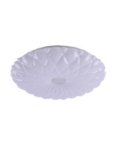 Потолочный светильник Camelion LBS-1005 / 13389