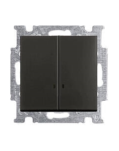 Выключатель ABB Basic 55 1012-0-2178 Abb