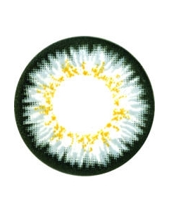 Комплект контактных линз Hera Paradise Grey Sph-1.00