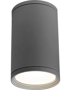 Светильник уличный Elektrostandard Light 35128/H