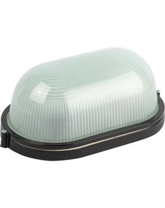 Светильник ЖКХ ЭРА Акватермо НБП 04-100-001 / Б0063863 Эра