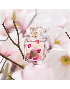 Парфюмерная вода Celebrate Now 50 Escada