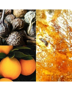 Туалетная вода Born Original Men 50 Adidas original