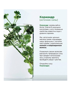 Бальзам для волос Кориандр для ломких волос, укрепляющий, без парабенов, силиконов и красителей Botanicals Fresh Care L'oreal paris