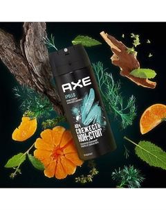 Дезодорант спрей мужской кедр и мускатный шалфей 48 часов защиты Apollo Axe