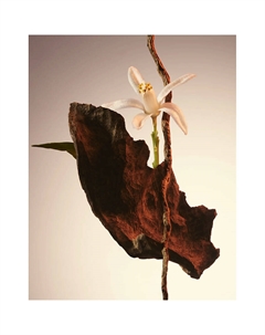 Духи HUGO The Scent Le Parfum 30 Boss