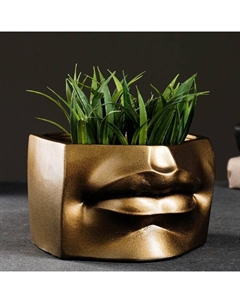 Кашпо - органайзер "Губы Давида" бронза, 16х11х15,5см Хорошие сувениры