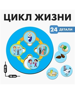 Развивающая игра из дерева «Цикл жизни» Лесная мастерская