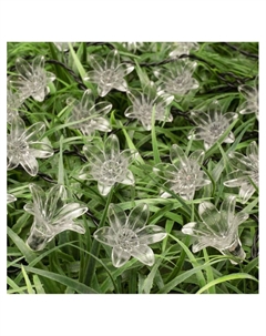 Гирлянда «Нить», 4.5 м, уличная, с насадками «Цветок», IP44, 30 LED, 2 режима, солнечная батарея, тёмная нить, свечение мульти Luazon lighting