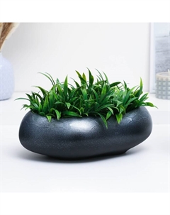 Горшок для кактусов и суккулентов «Бонсай», 2.3 л, 28×24 см, керамический, чёрный, серебристый Хорошие сувениры