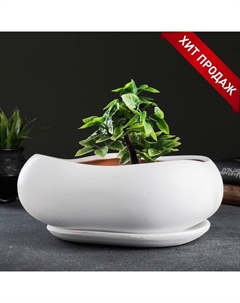 Горшок для кактусов и суккулентов «Бонсай», 2.5 л, 28×24 см, керамический, с поддоном, белый Хорошие сувениры