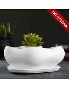 Горшок для кактусов и суккулентов «Бонсай», 600 мл, 18×14 см, керамический, с поддоном, белый Хорошие сувениры