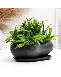 Горшок для кактусов и суккулентов «Бонсай», 600 мл, 17×14×7 см, керамический, с поддоном, серый Хорошие сувениры