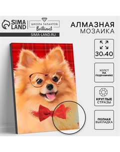 Алмазная мозаика с полным заполнением на подрамнике «Собачка», 30 х 40 см Школа талантов