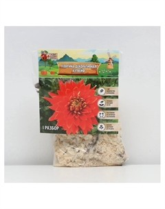 Георгина Декоративная «Хэтвейф», клубнелуковица в упаковке, р-р I, 1 шт. Сады дедушки никиты