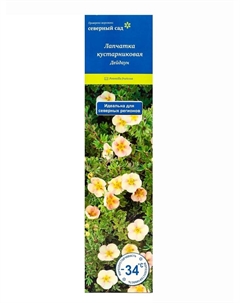 Лапчатка кустарниковая (Серия Северный сад) «Дейдаун» 1 шт., туба Поиск
