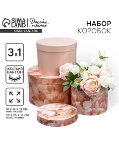 Набор шляпных коробок 3 в 1, упаковка подарочная, «Бежевый», 18 х 18 х 13‒25 х 25 х 15 см Дарите счастье