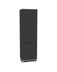 Шкаф для одежды Aurelio 12, 600×455×2057 мм, цвет антрацит/блеквуд сатиновый Глазов