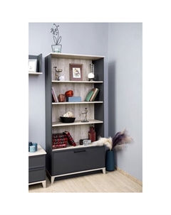 Шкаф - стеллаж Aurelio 2, 800×355×1727 мм, цвет антрацит/блеквуд сатиновый Глазов