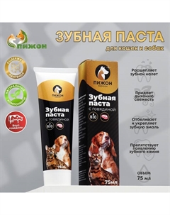 Зубная паста ферментированная со вкусом говядины « Premium» для кошек и собак, 75 мл Пижон