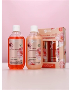 Подарочный набор «Расцветай от счастья», гель для душа и пена для ванны, 2×300 Чистое счастье