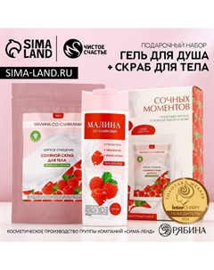 Подарочный набор косметики «Сочных моментов!», гель для душа 250 мл и скраб для тела соляной 250 г Чистое счастье
