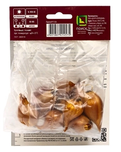 Корневище Ирис голландский Отем Принцесс, 6/7 р-р, 10 шт., 60 h(см) Поиск