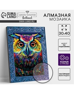 Алмазная мозаика с частичным заполнением и форменными стразами на раме «Сова», 30 х 40 см Школа талантов