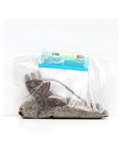 Пион "Many Happy Return", р-р 3/5, 1 шт, Весна 2025 Сады дедушки никиты