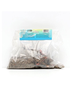 Пион "Duchesse de Nemours", р-р 2/3, 1 шт, Весна 2025 Сады дедушки никиты