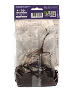 Клематис крупноцветковый "Карнаби", капер, 1 шт, Весна 2025 Поиск