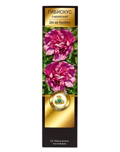 Гибискус сирийский Люкс "Дю де Брабан", туба, 1 шт, Весна 2025 Поиск