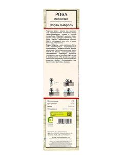 Саженец Роза парковая "Лоран Каброль", туба, 1 шт, Весна 2025 Поиск