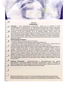 Клематис крупноцветковый "Кардинал Вишинский", капер, 1 шт, Лето 2025 Поиск