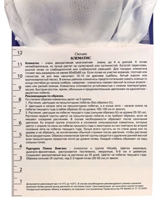 Клематис ботанический "Пурпуреа Плена Элеганс", капер, 1 шт, Весна 2025 Поиск