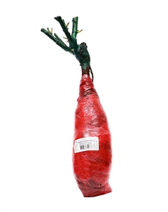 Саженец Роза Кордес флорибунда "Герцогиня Кристина", туба, 1 шт, Весна 2025 Поиск