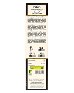 Саженец Роза флорибунда «Фреска Византина», туба, 1 шт. Поиск