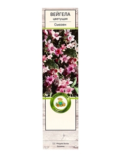 Вейгела цветущая «Сьюзен», саженец, туба, 1 шт. Поиск