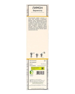 Цитрус «Лимон Вариегата», туба, 1 шт. Поиск