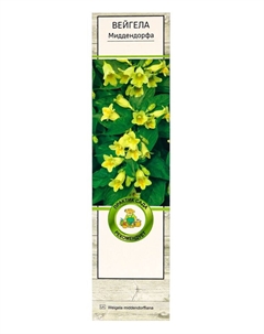 Вейгела цветущая «Миддендорфа», саженец, туба, 1 шт. Поиск