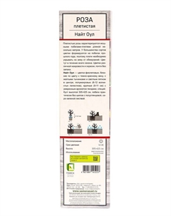 Саженец Роза плетистая "Найт Оул", туба, 1 шт, Весна 2025 Поиск