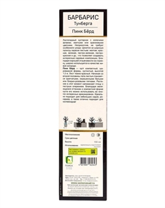 Барбарис Тунберга Люкс «Пинк Бёрд», саженец, туба, 1 шт. Поиск