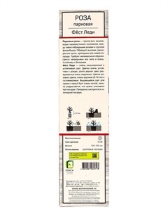 Саженец Роза парковая "Фёст Леди", туба, 1 шт, Весна 2025 Поиск
