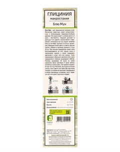 Глициния макростахия «Блю Мун», саженец, декоративный, лиана, туба, 1 шт. Поиск