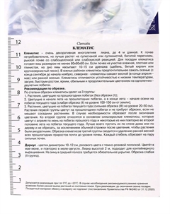 Клематис крупноцветковый "Дариус", капер, 1 шт, Весна 2025 Поиск