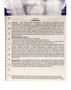 Клематис крупноцветковый "Вильям Кеннет", капер, 1 шт, Весна 2025 Поиск
