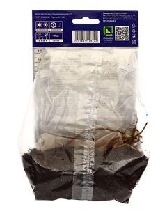 Клематис крупноцветковый "Зе Брайд", капер, 1 шт, Весна 2025 Поиск