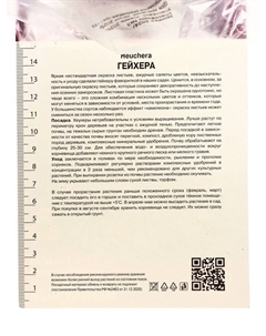 Гейхера (Хеухера) мелкоцветковая Мелтинг Файр, корневище в пакете с торфогрунтом, р-р I, 1 шт. Поиск